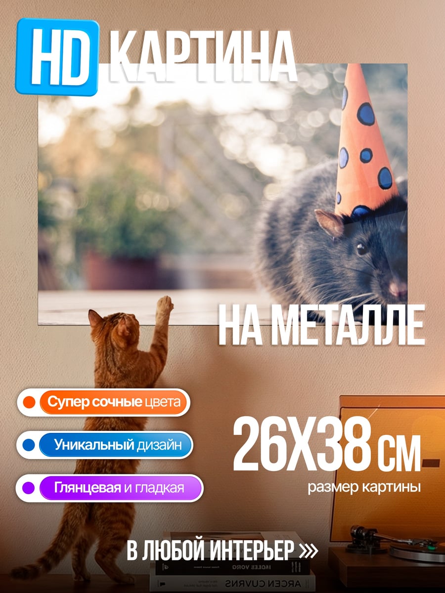 Картина на металле Крыса в колпаке