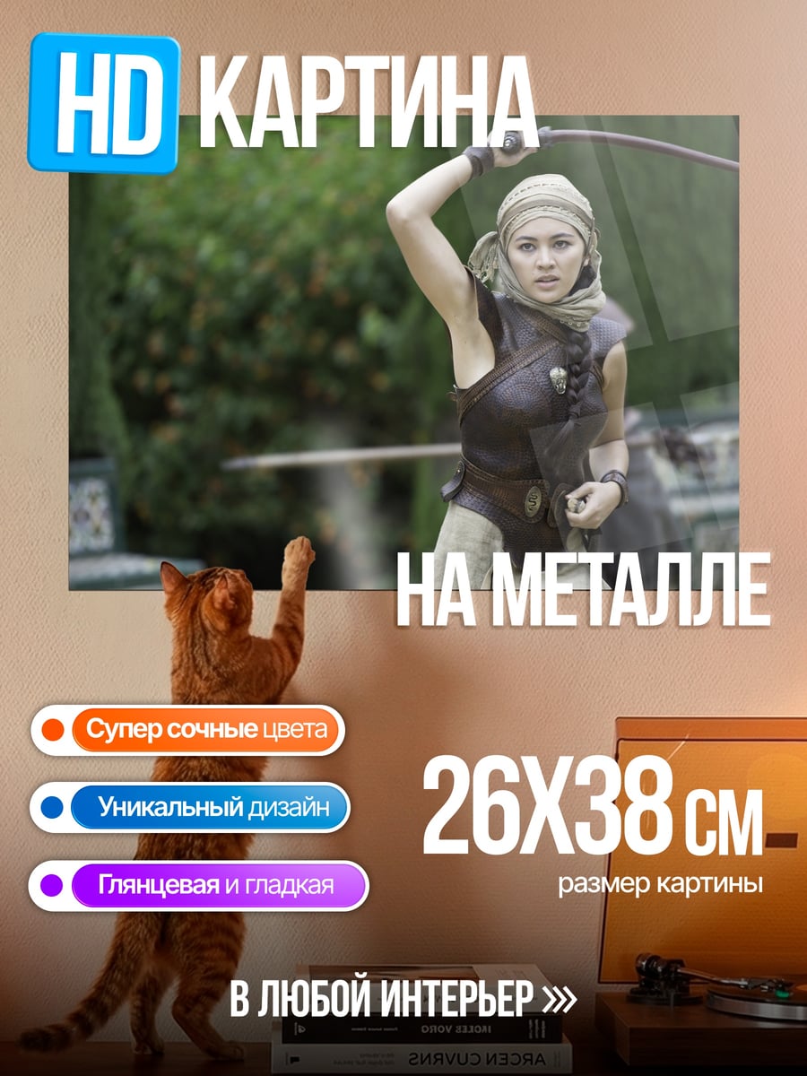 Картина на металле Девушка с кнутом
