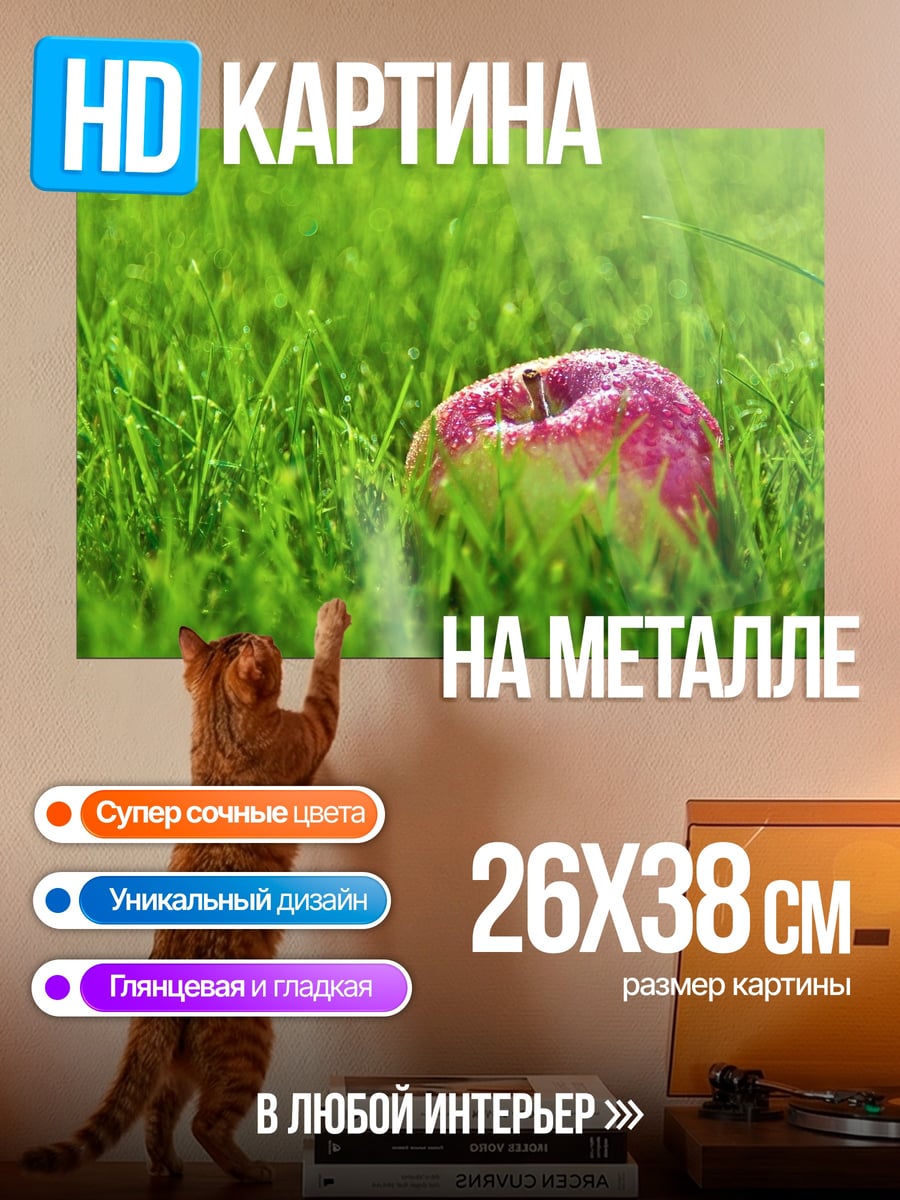 Картина на металле Яблоко на траве