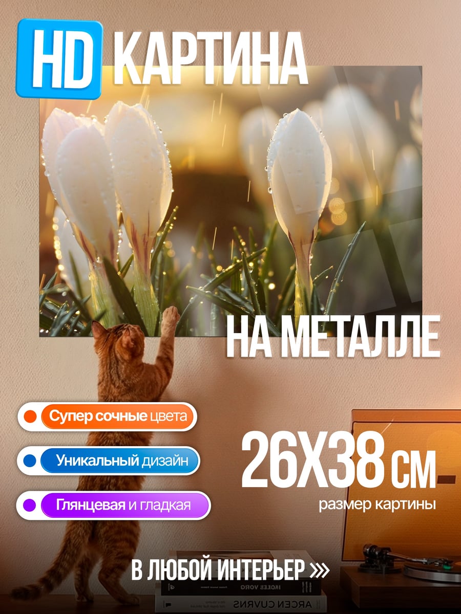 Картина на металле Белые крокусы дождем