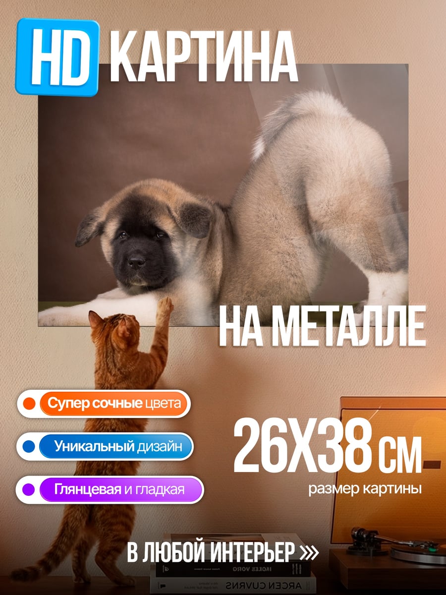 Картина на металле Щенок Акита Ину