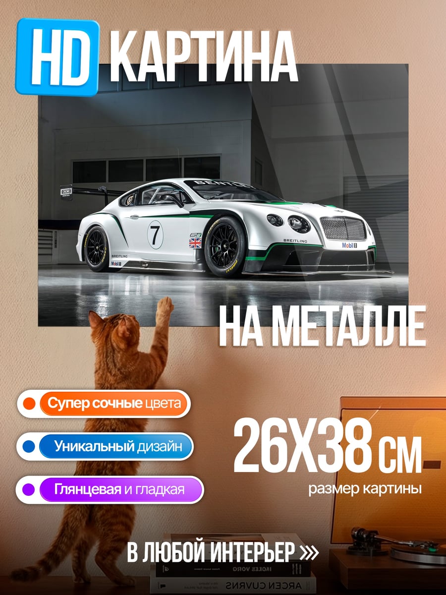 Картина на металле гоночный Bentley Continental