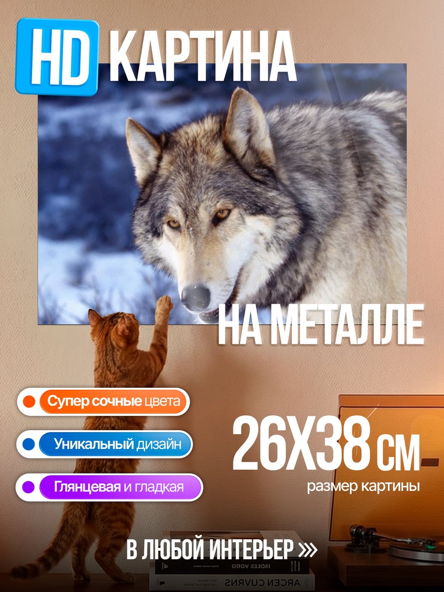 Картина на металле Зимний волк смотрит