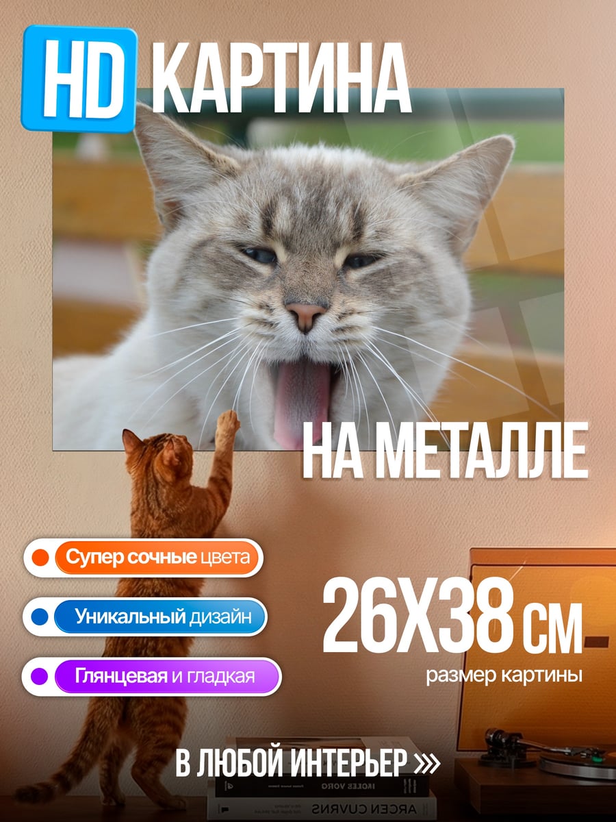 Картина на металле зевающий кот
