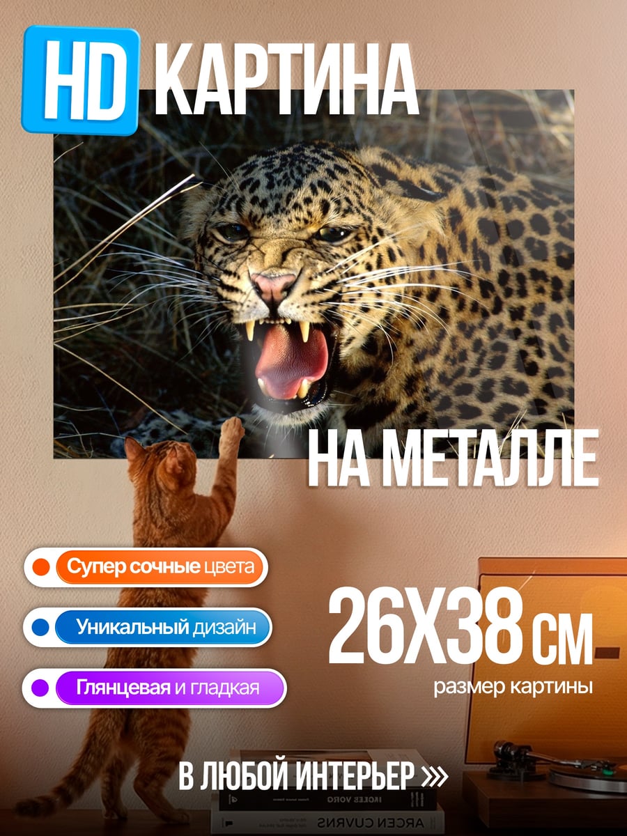 Картина на металле рычащий леопард в траве