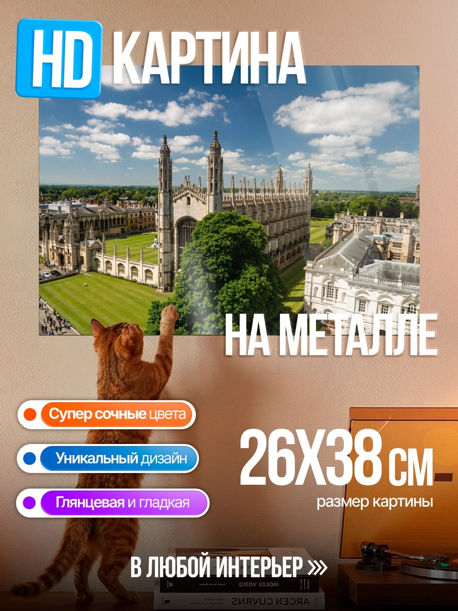 Картина на металле королевский колледж