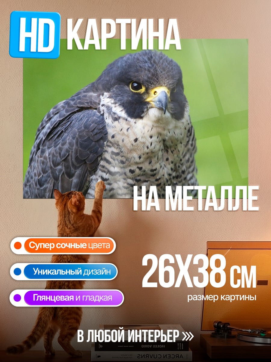 Картина на металле Сокол в природе