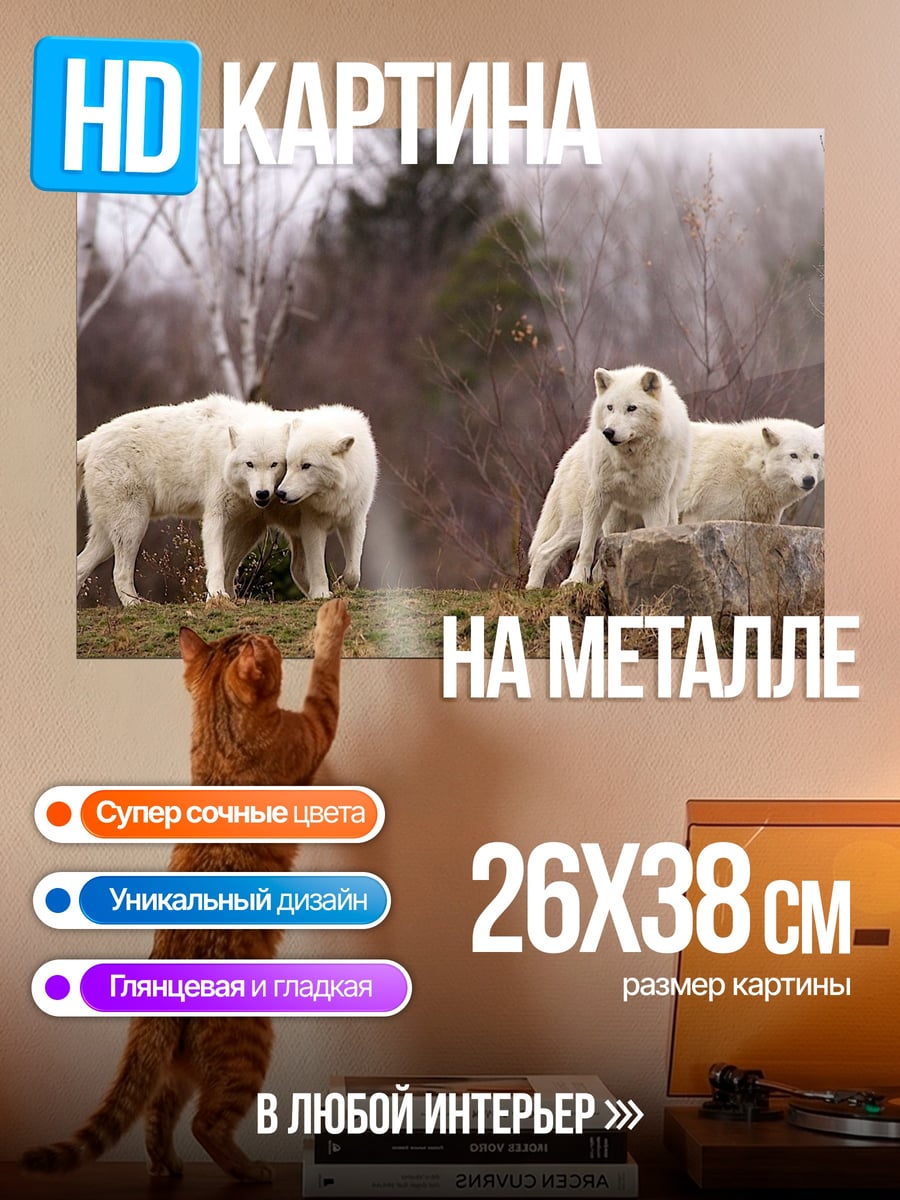 Картина на металле Стая белых волков