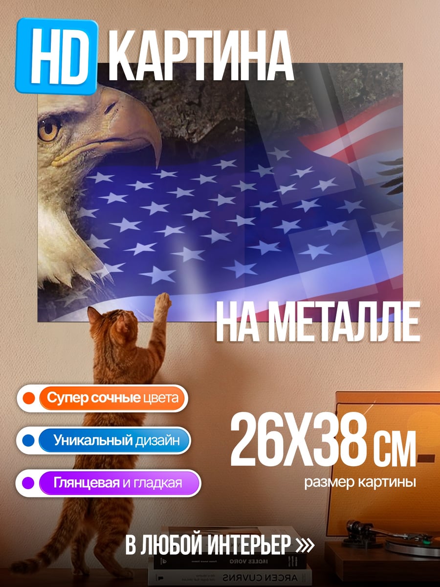 Картина на металле символы Америки