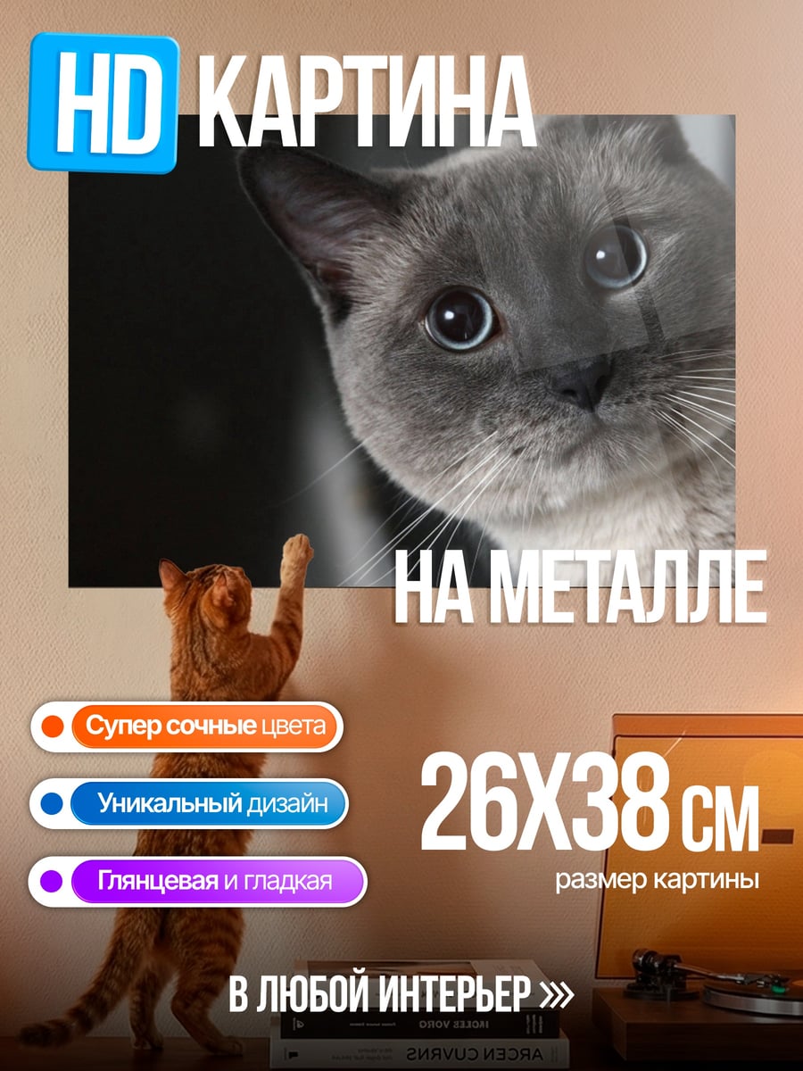 Картина на металле Задумчивый кот