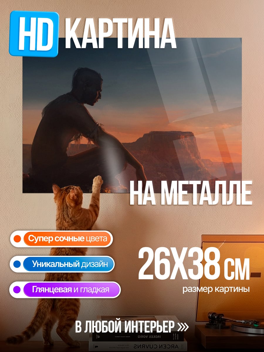 Картина на металле Человек на закате