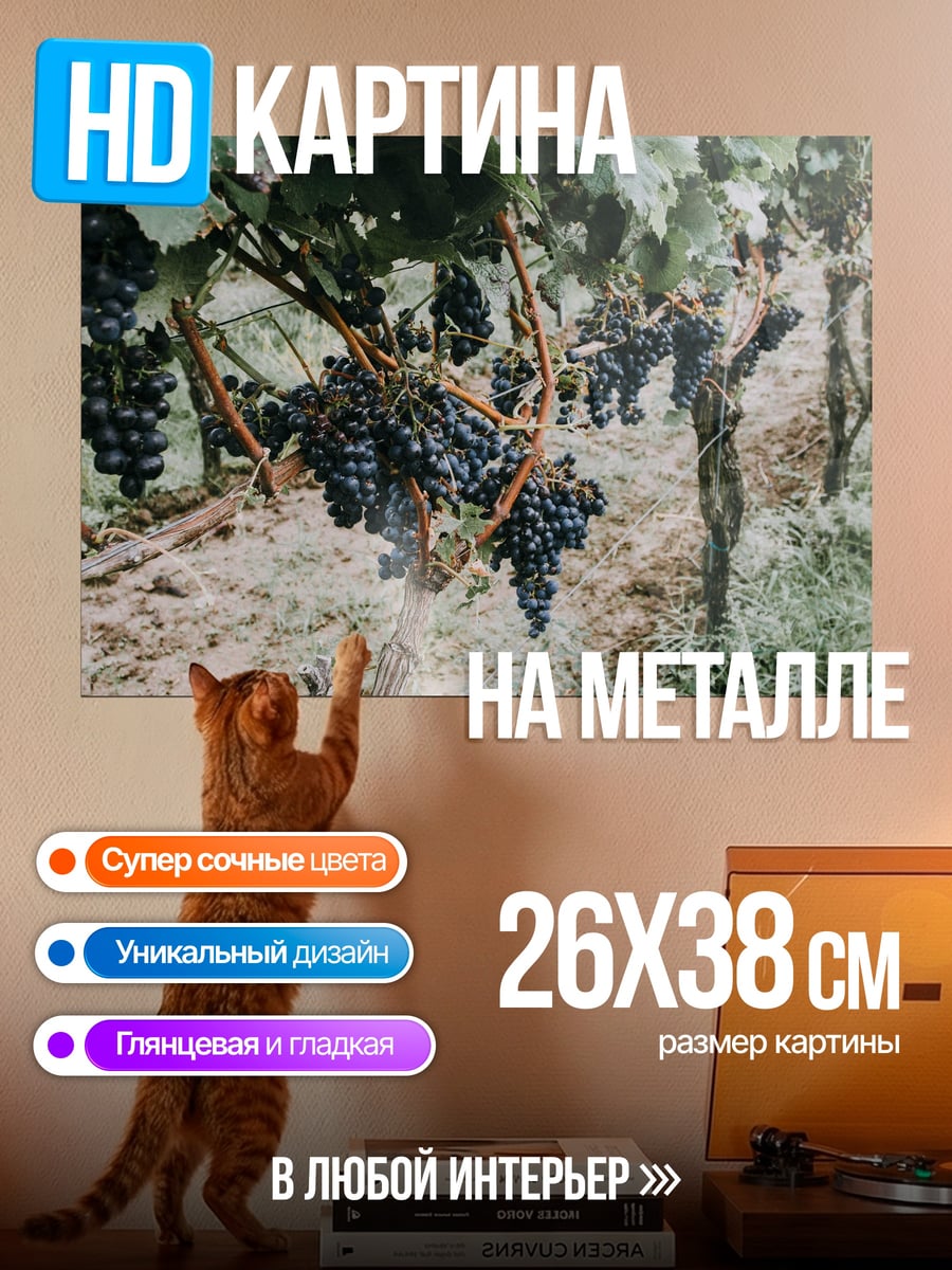 Картина на металле Виноградная лоза с гроздьями