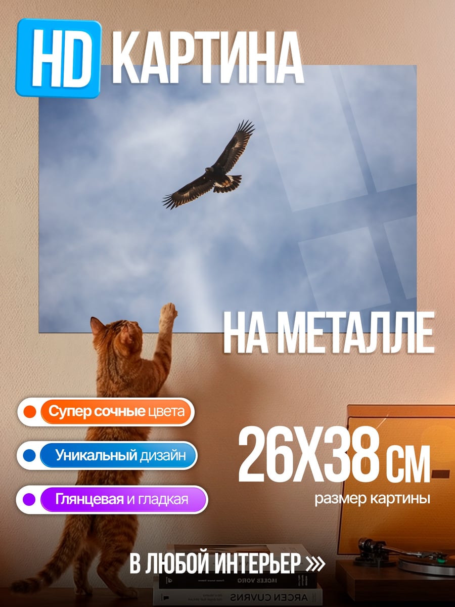Картина на металле Орел в небе