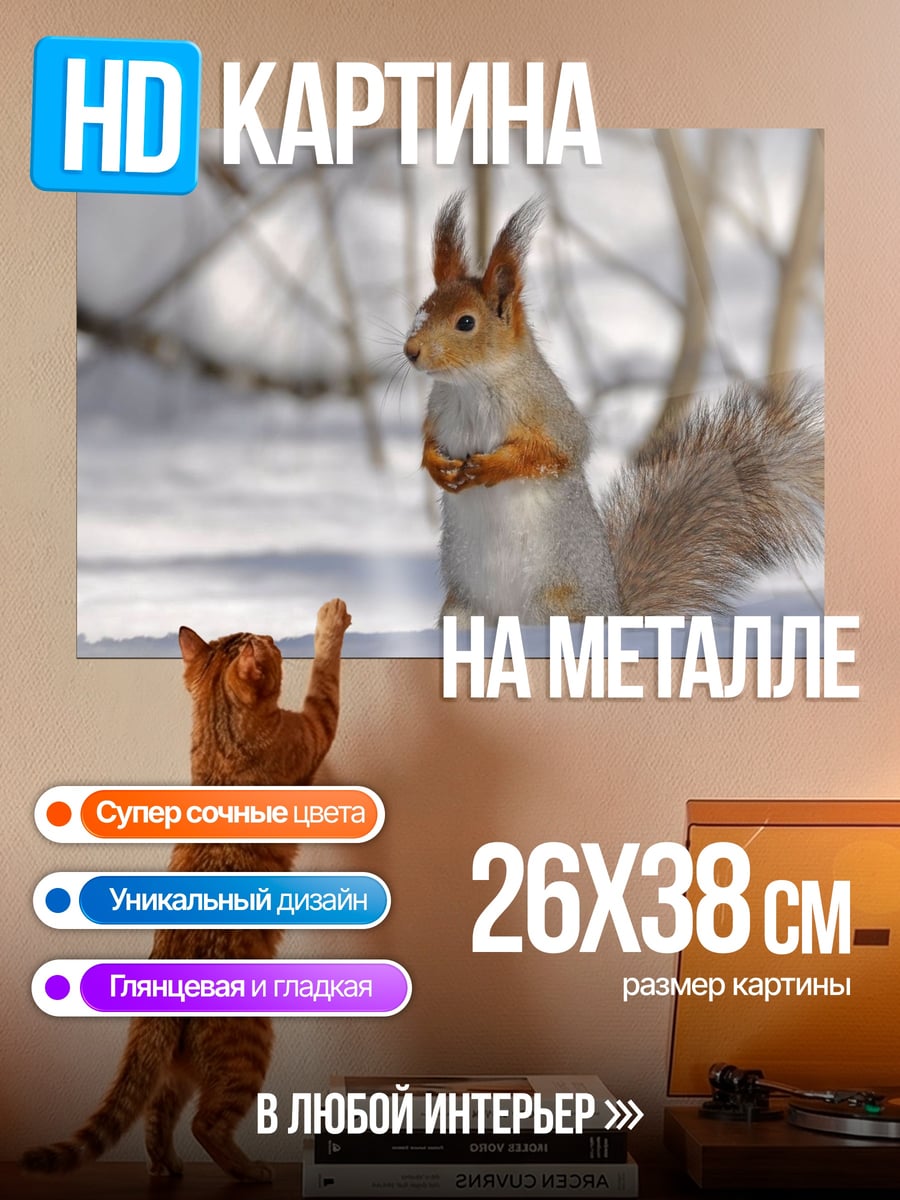 Картина на металле Белка в снегу