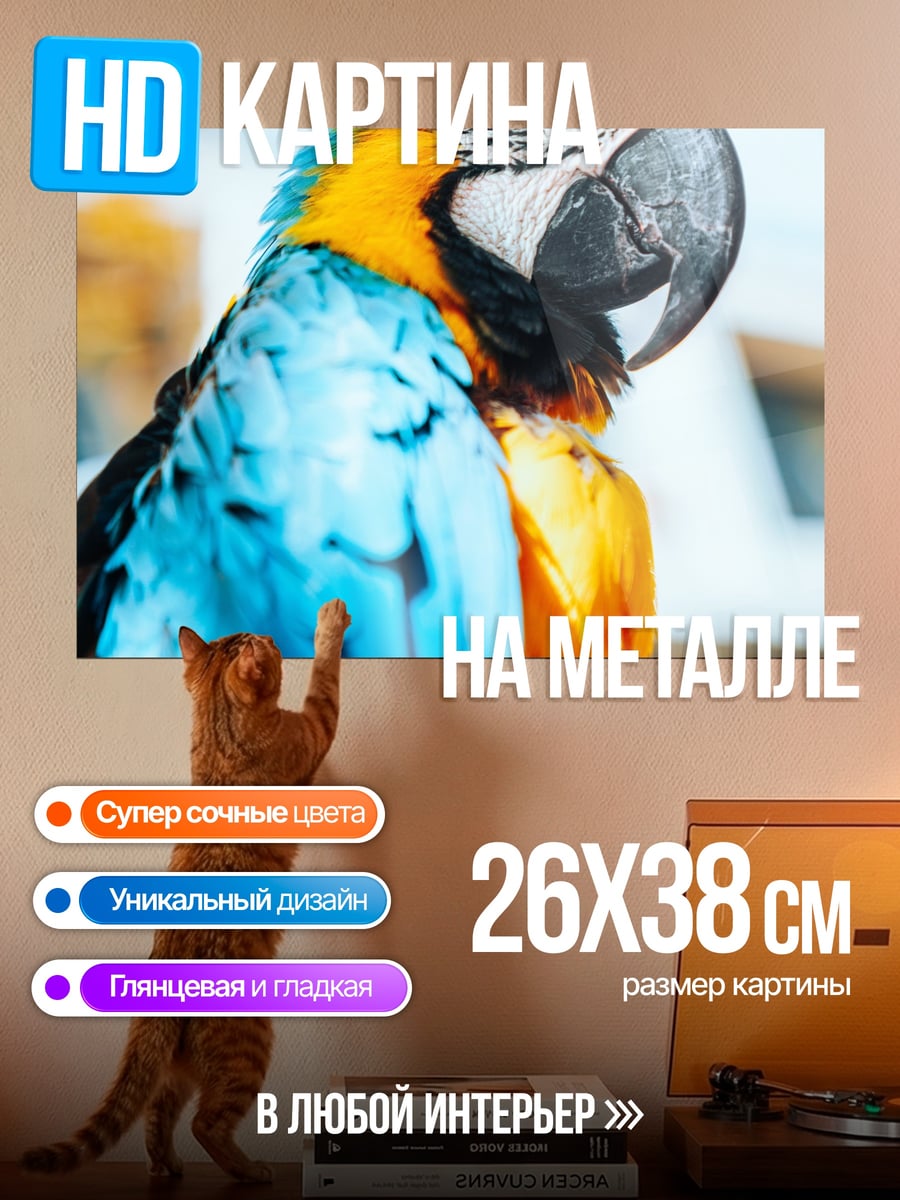 Картина на металле сине-желтый попугай ара