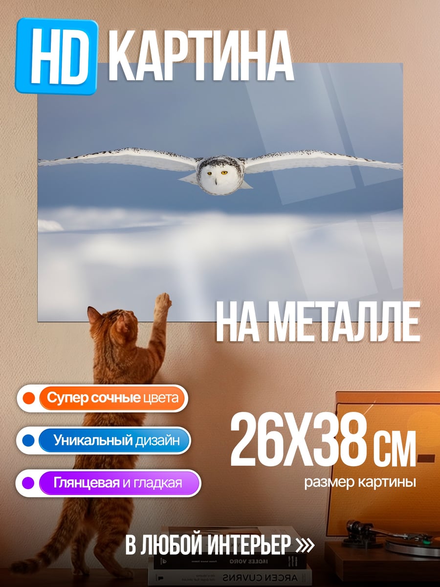 Картина на металле Полярная сова в полете