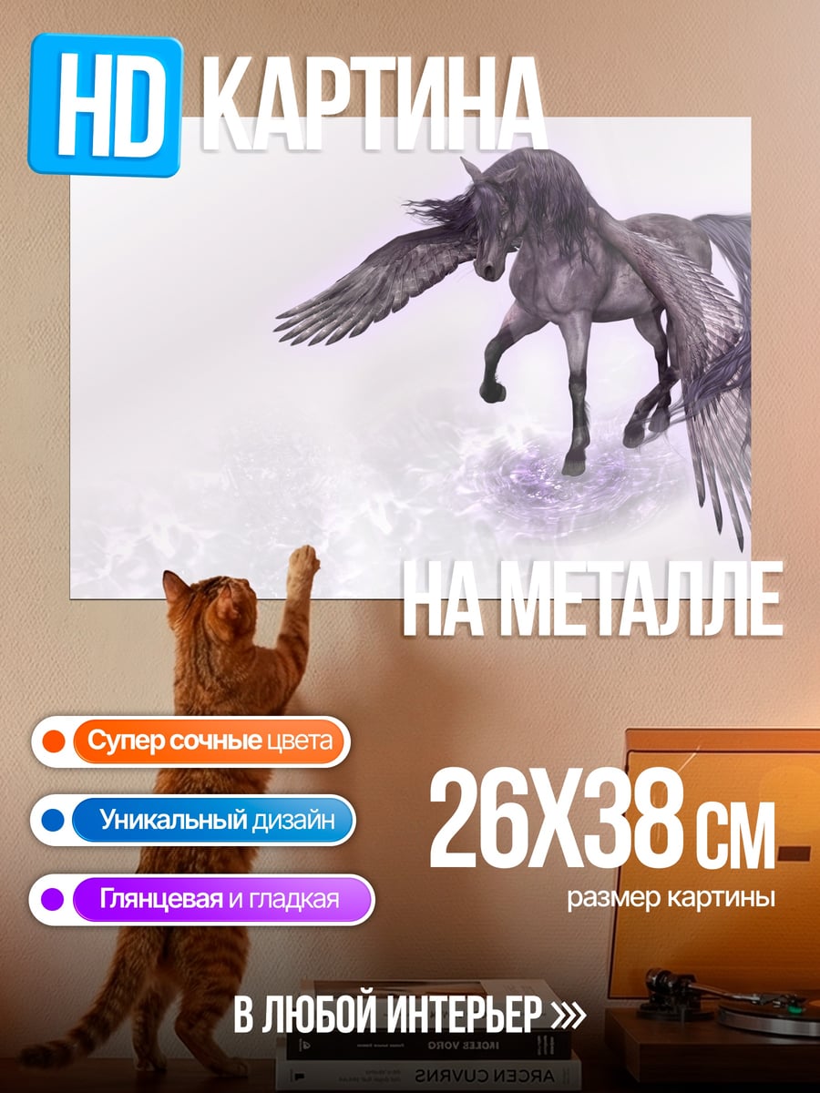 Картина на металле Черный Пегас
