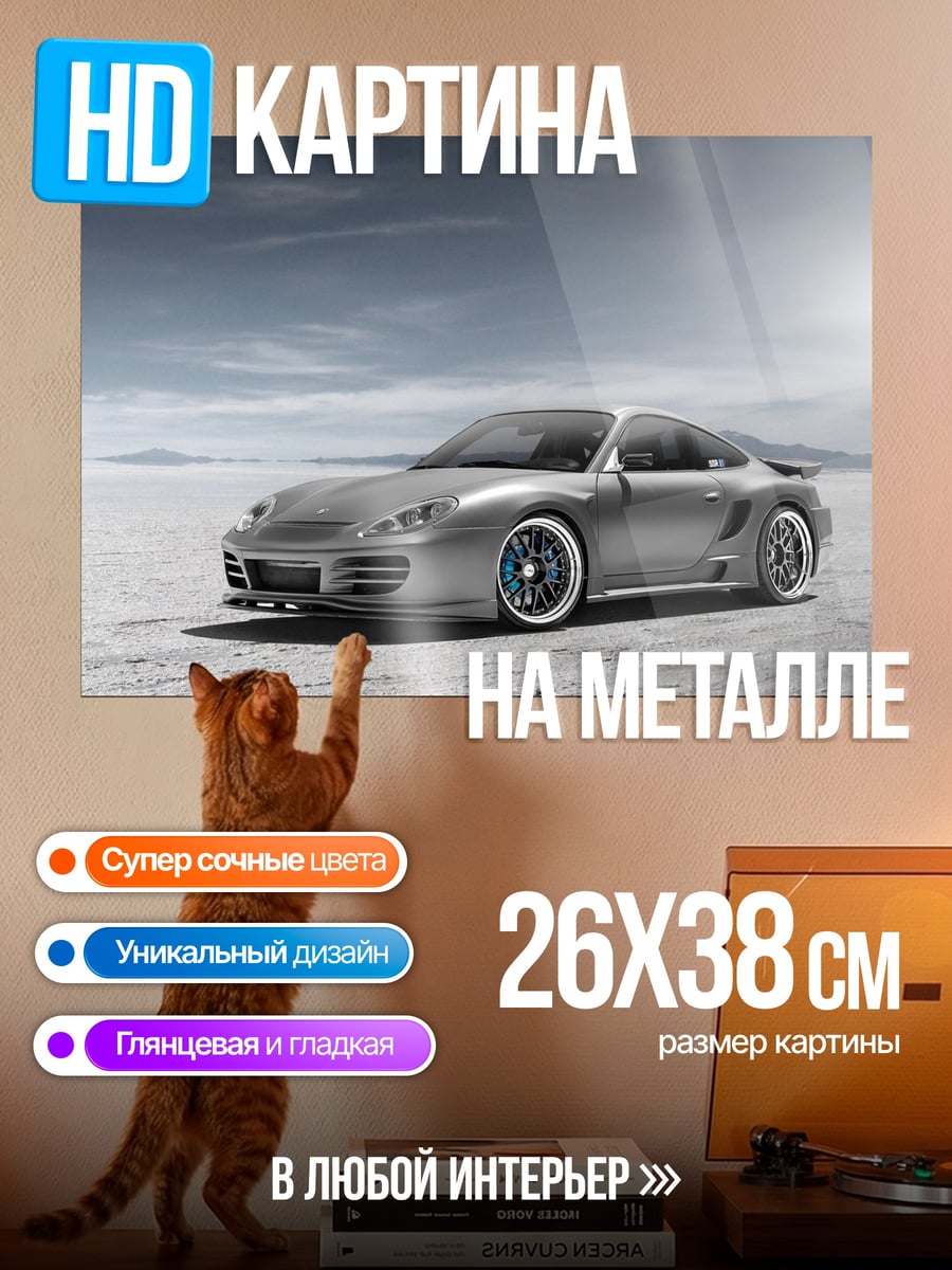 Картина на металле Спортивное купе Porsche