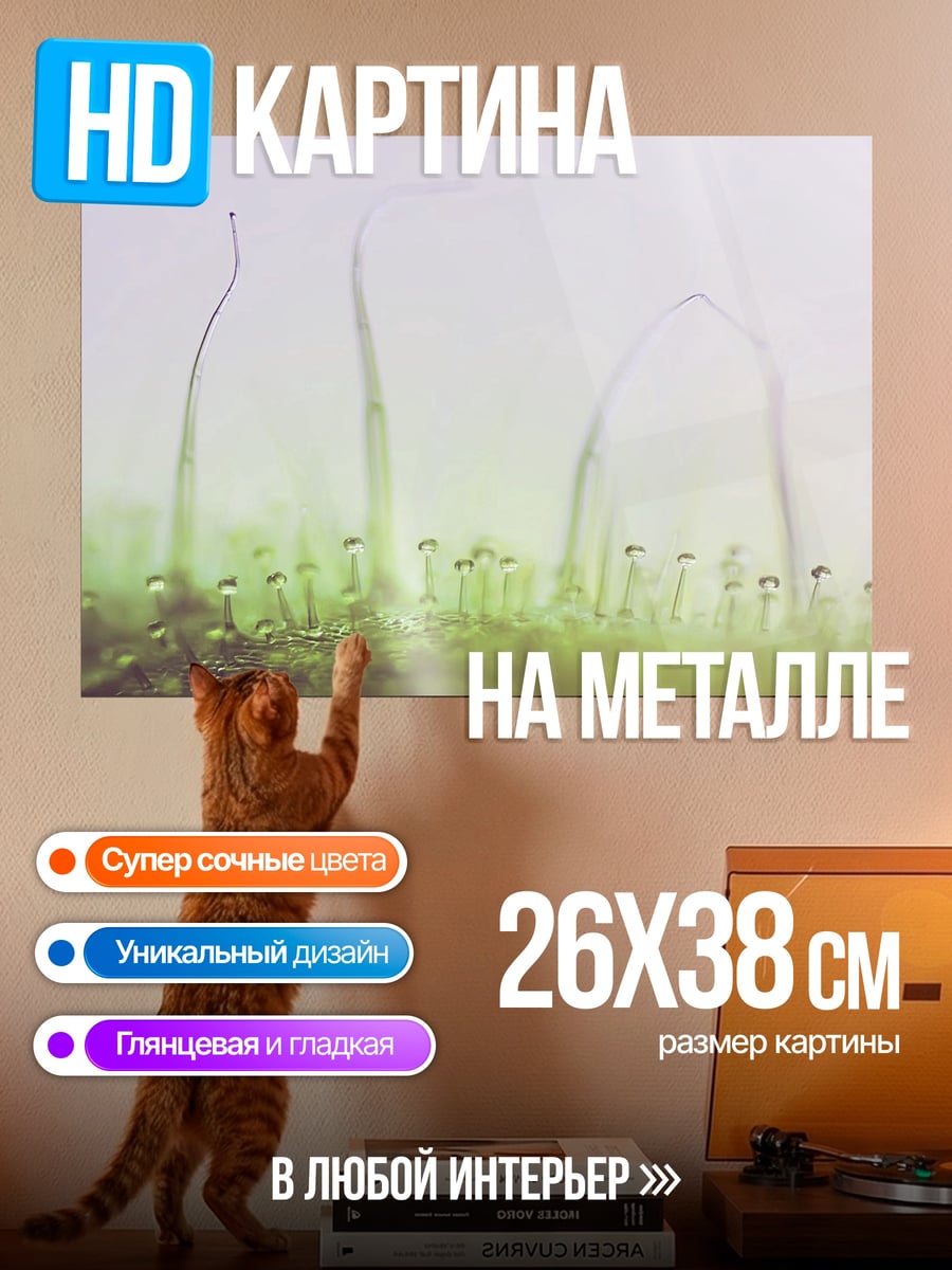 Картина на металле Нежные ростки в тумане