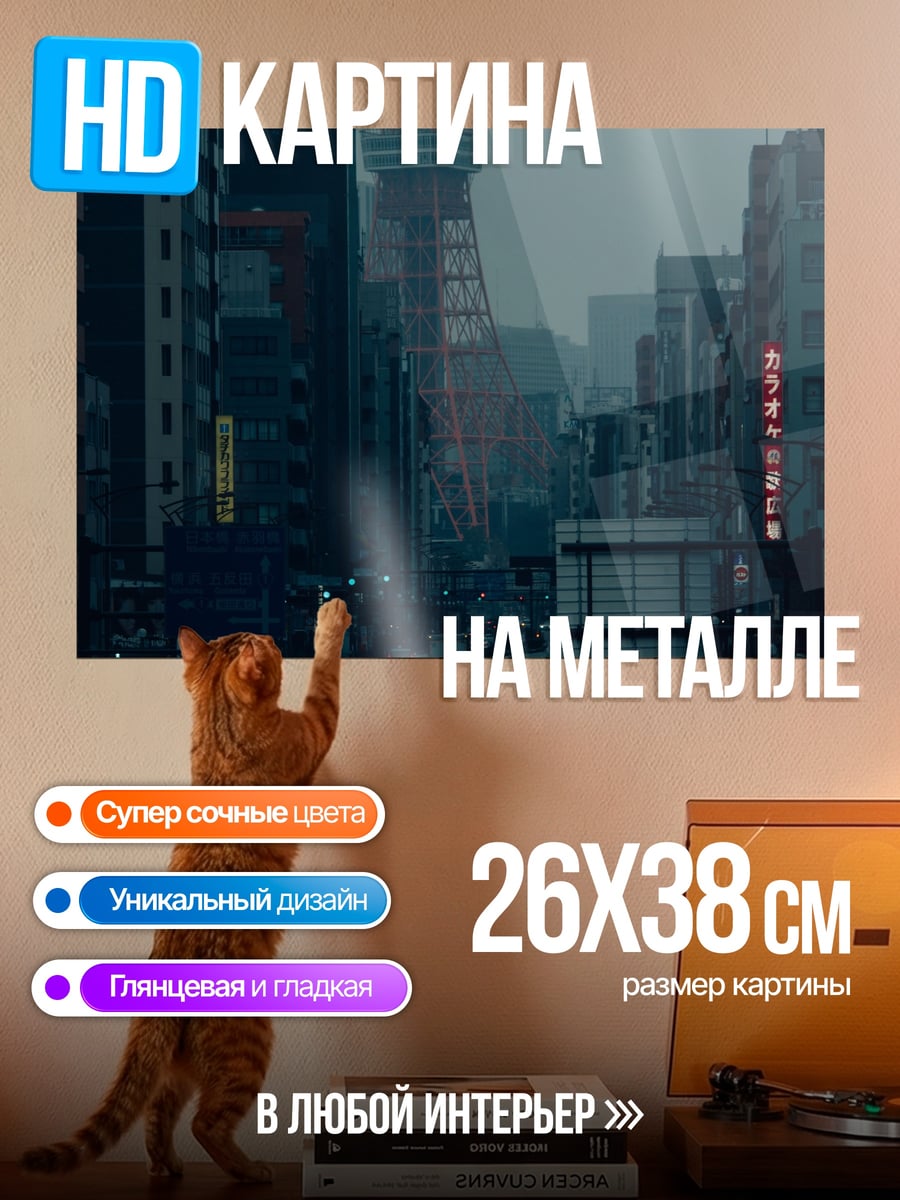 Картина на металле Токийский закат