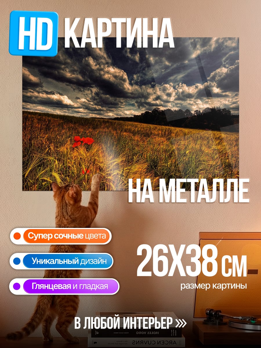 Картина на металле Мак в поле