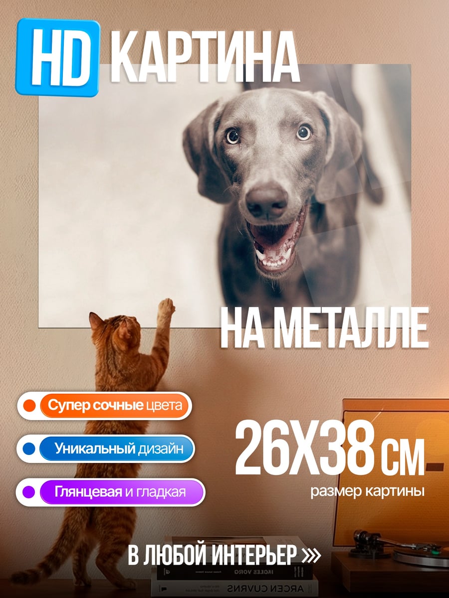 Картина на металле Смотрящий пес