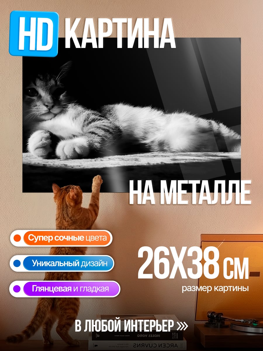 Картина на металле Черно-белый кот