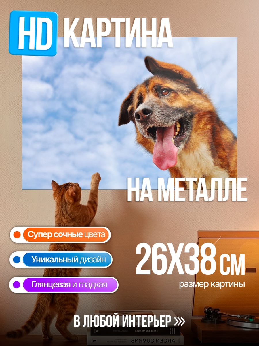 Картина на металле Счастливая собака