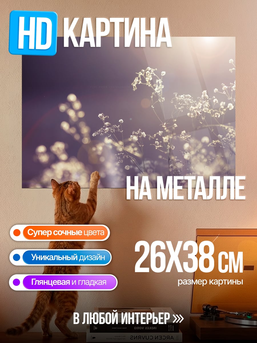 Картина на металле Нежные полевые цветы