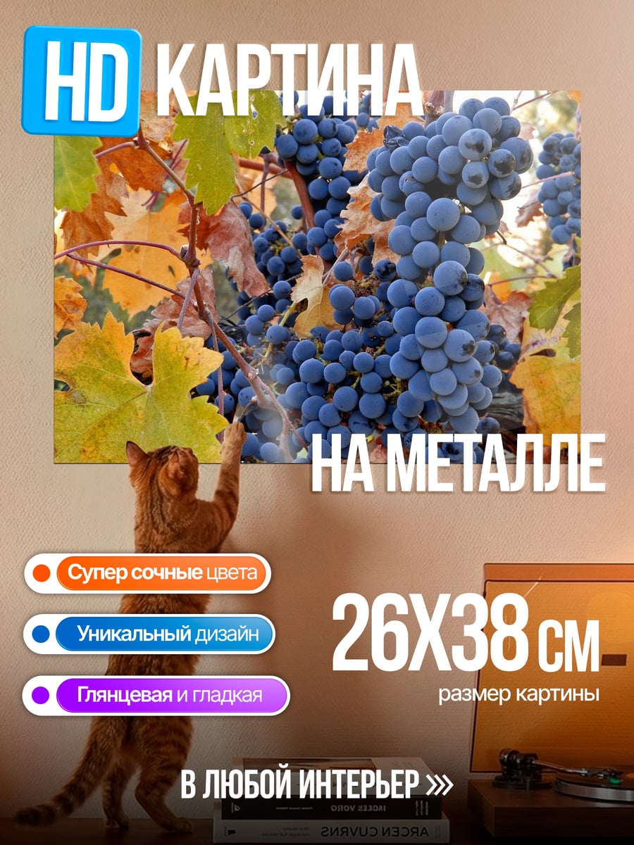 Картина на металле Виноградная лоза осенью