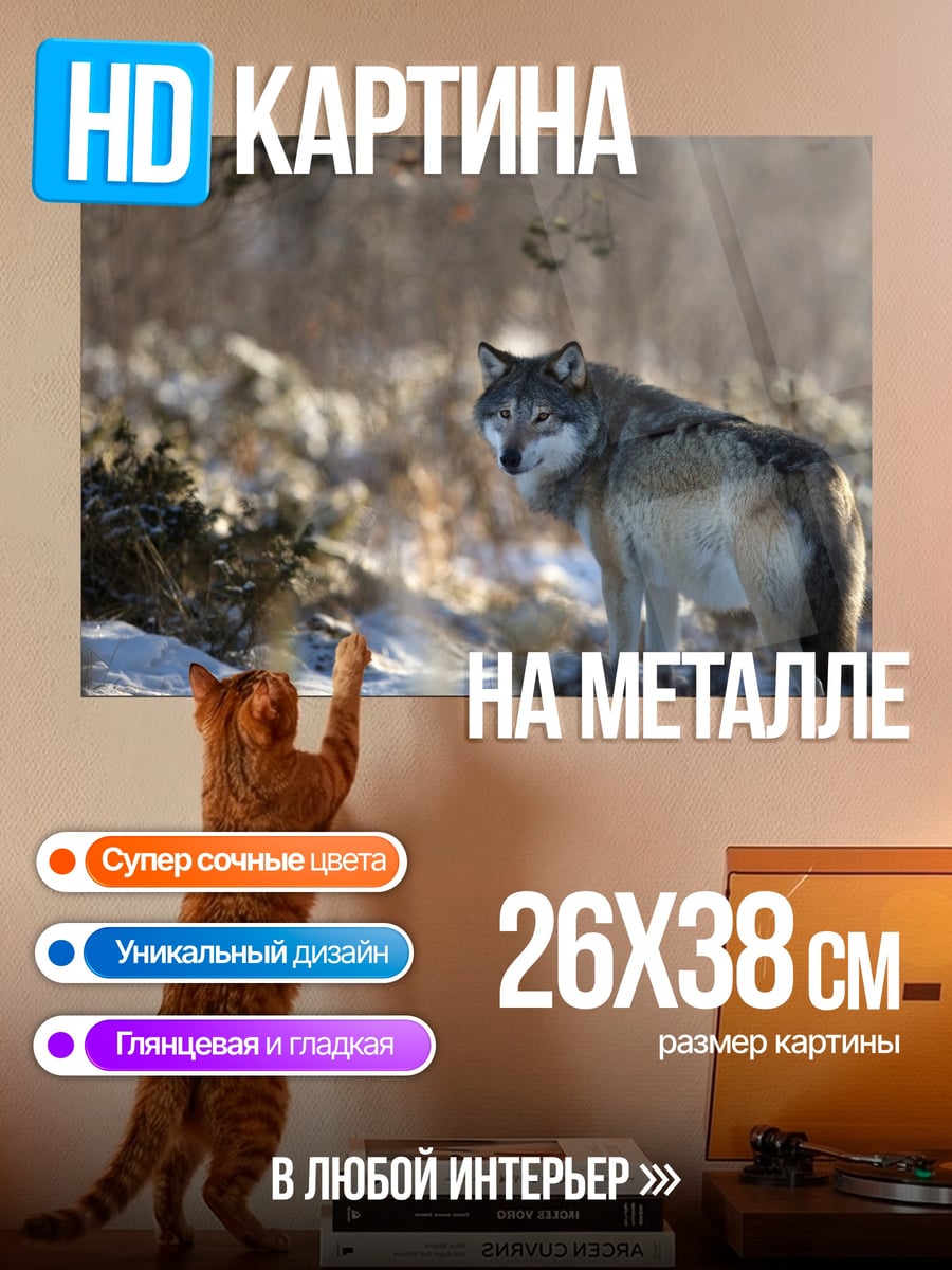 Картина на металле волк в снегу