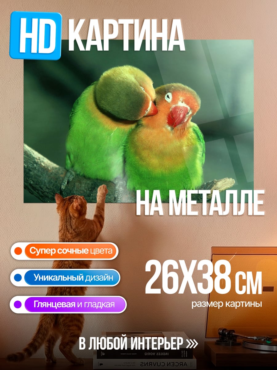 Картина на металле два попугая