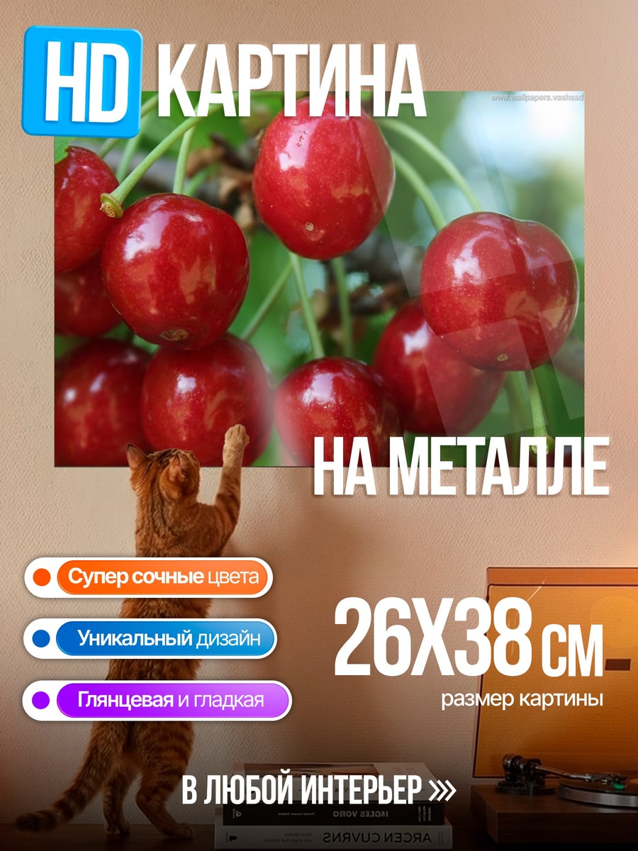 Картина на металле спелые вишни