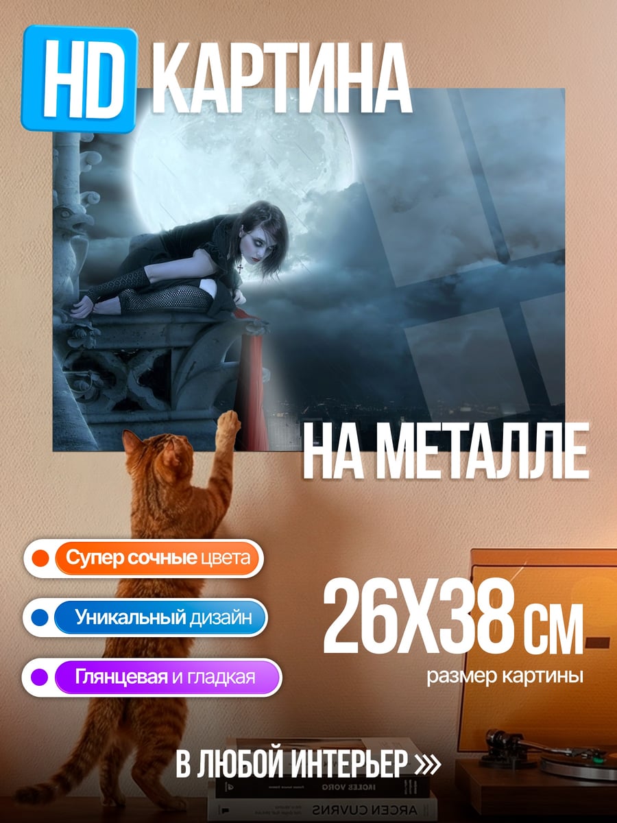Картина на металле Девушка на крыше