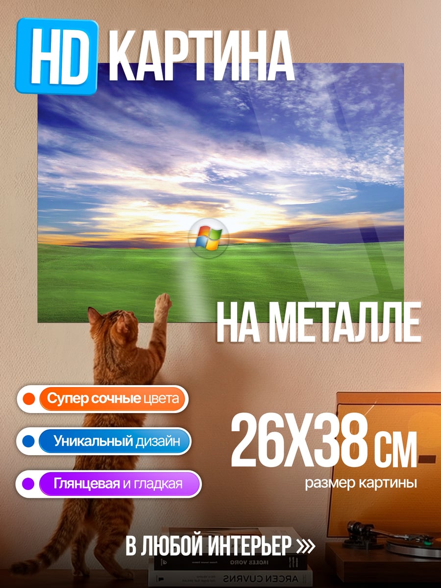Картина на металле Окна Windows XP