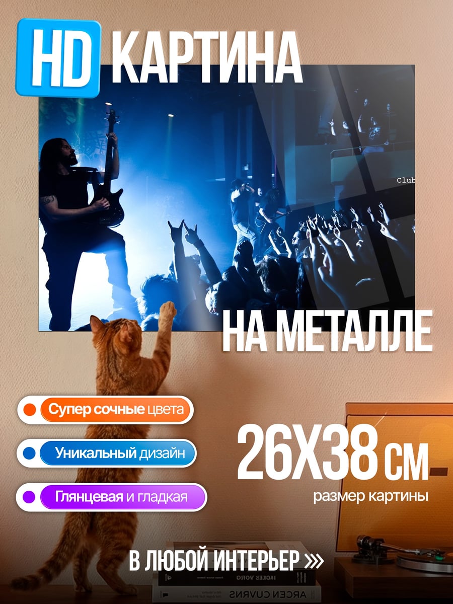 Картина на металле рок концерт гитарист