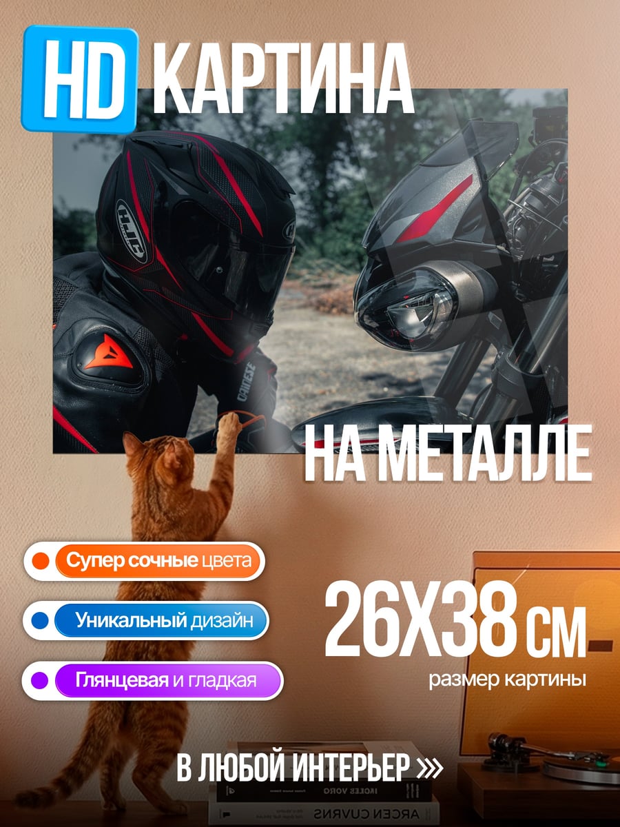Картина на металле мотоциклист и байк