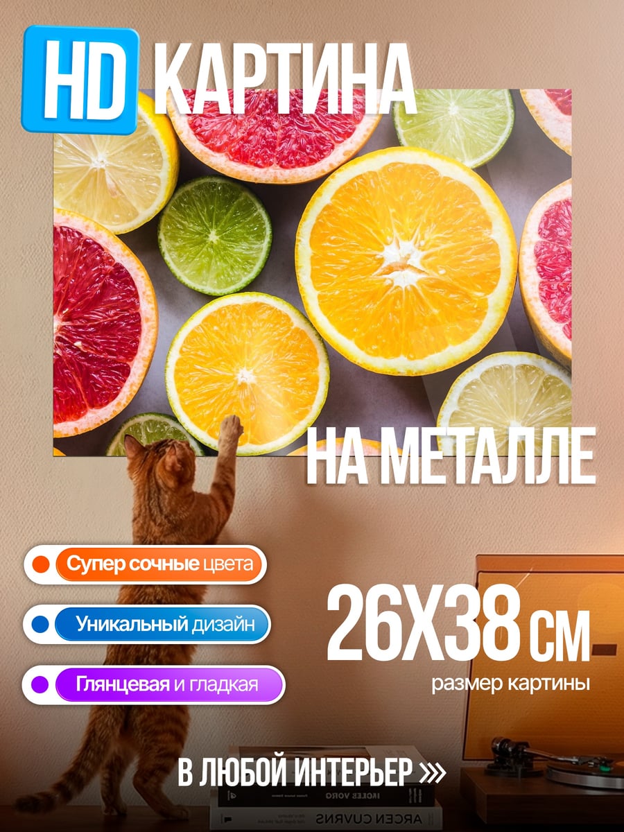 Картина на металле цитрусовые фрукты