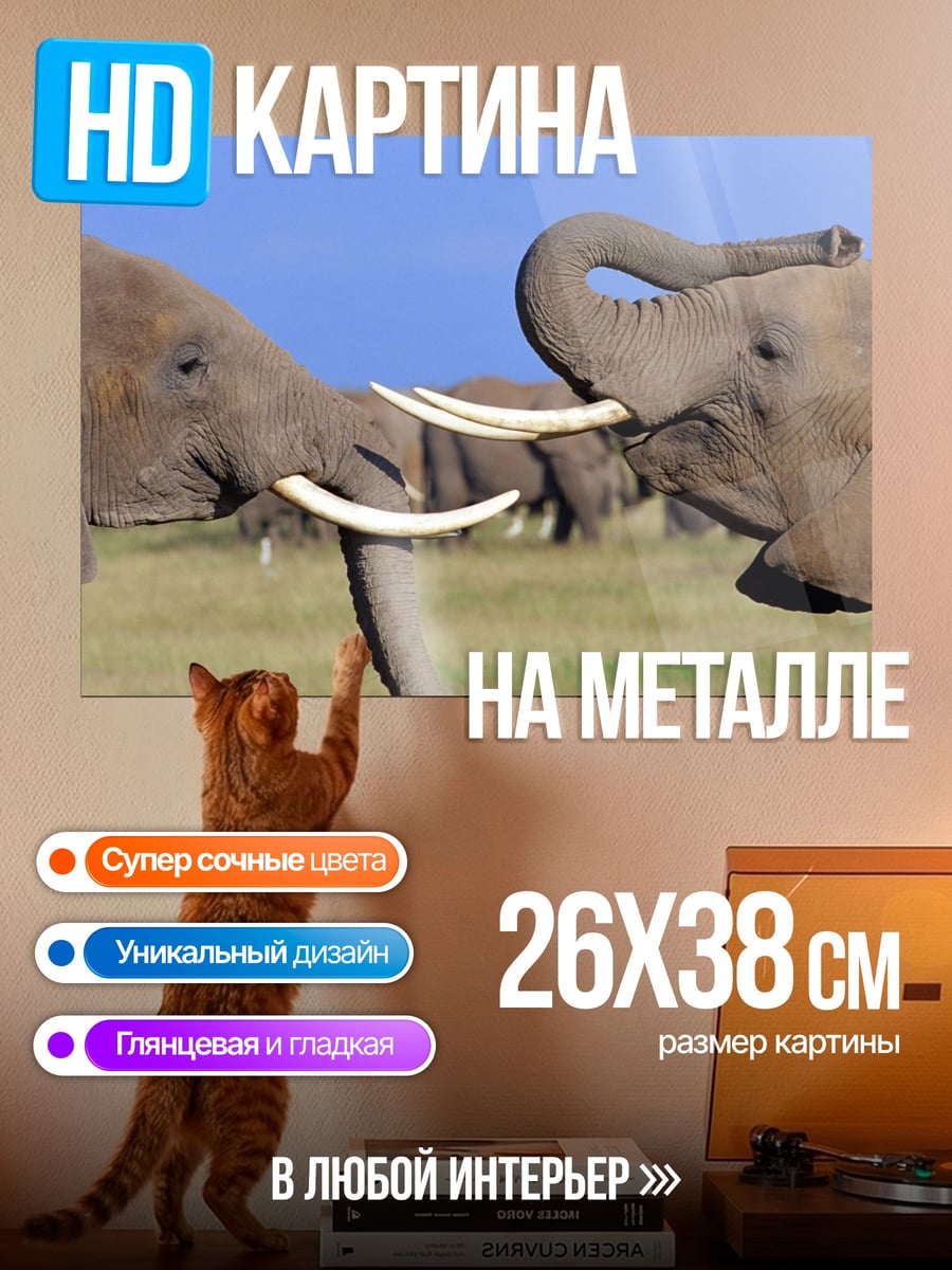 Картина на металле Два слона сражаются