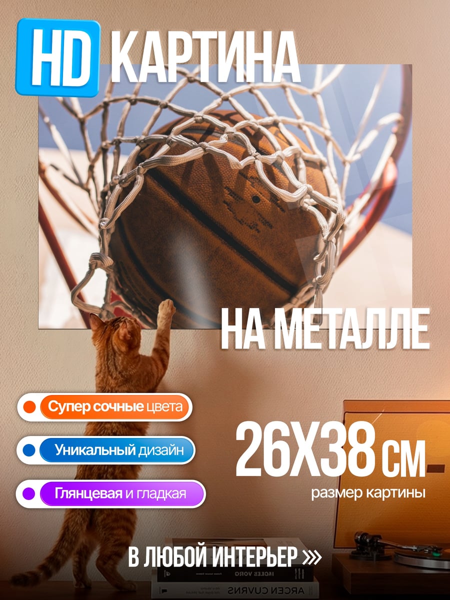 Картина на металле Баскетбол в кольце