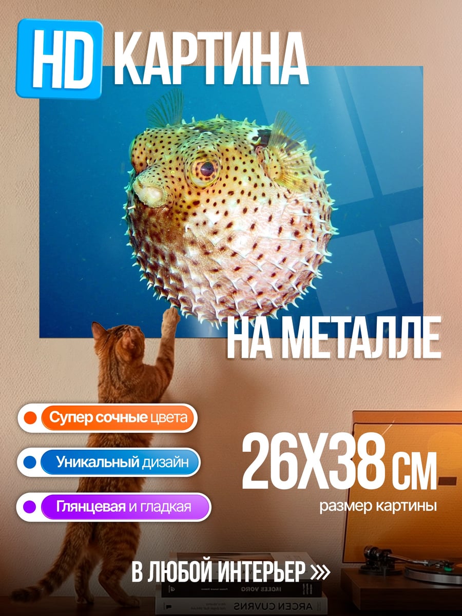 Картина на металле Рыба фугу в воде