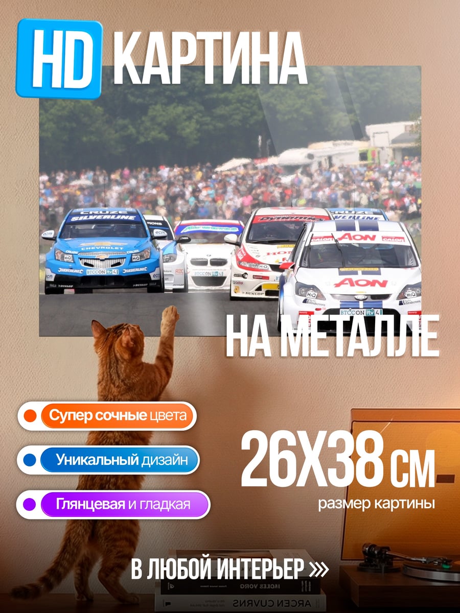 Картина на металле Гонка Туринг Автомобилей