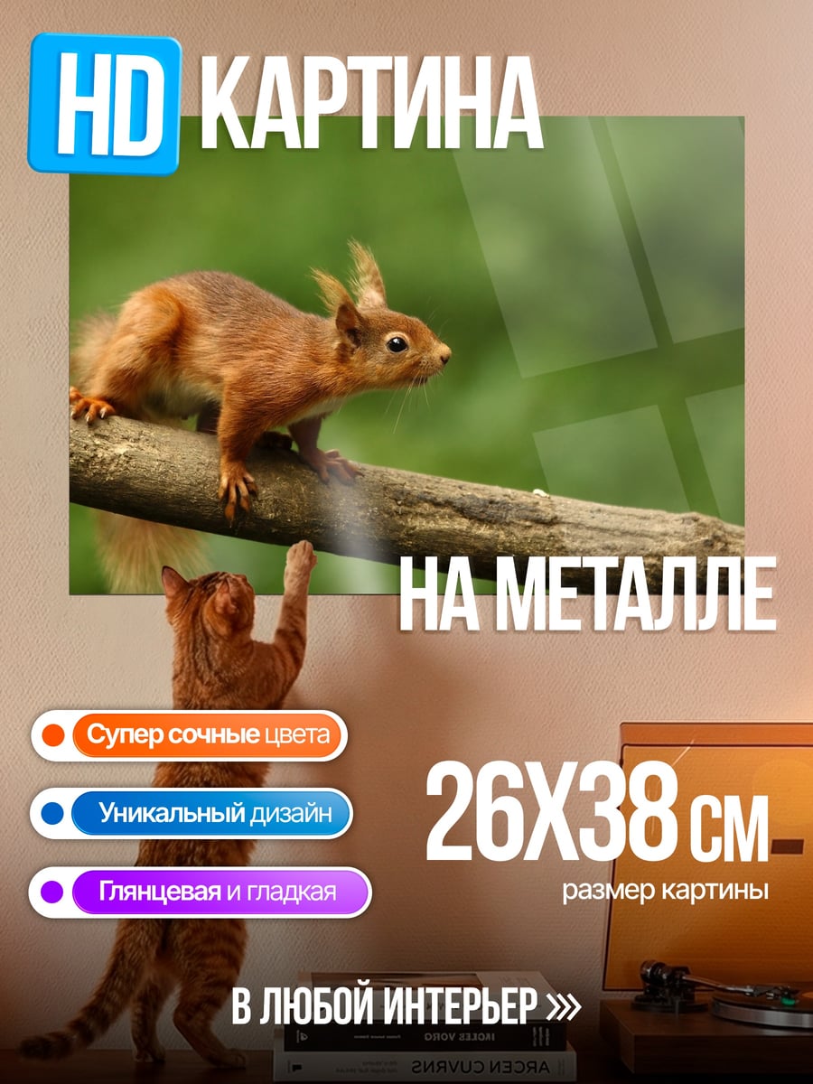 Картина на металле Рыжая белка на ветке