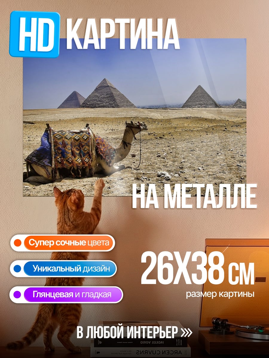 Картина на металле Верблюд у пирамид