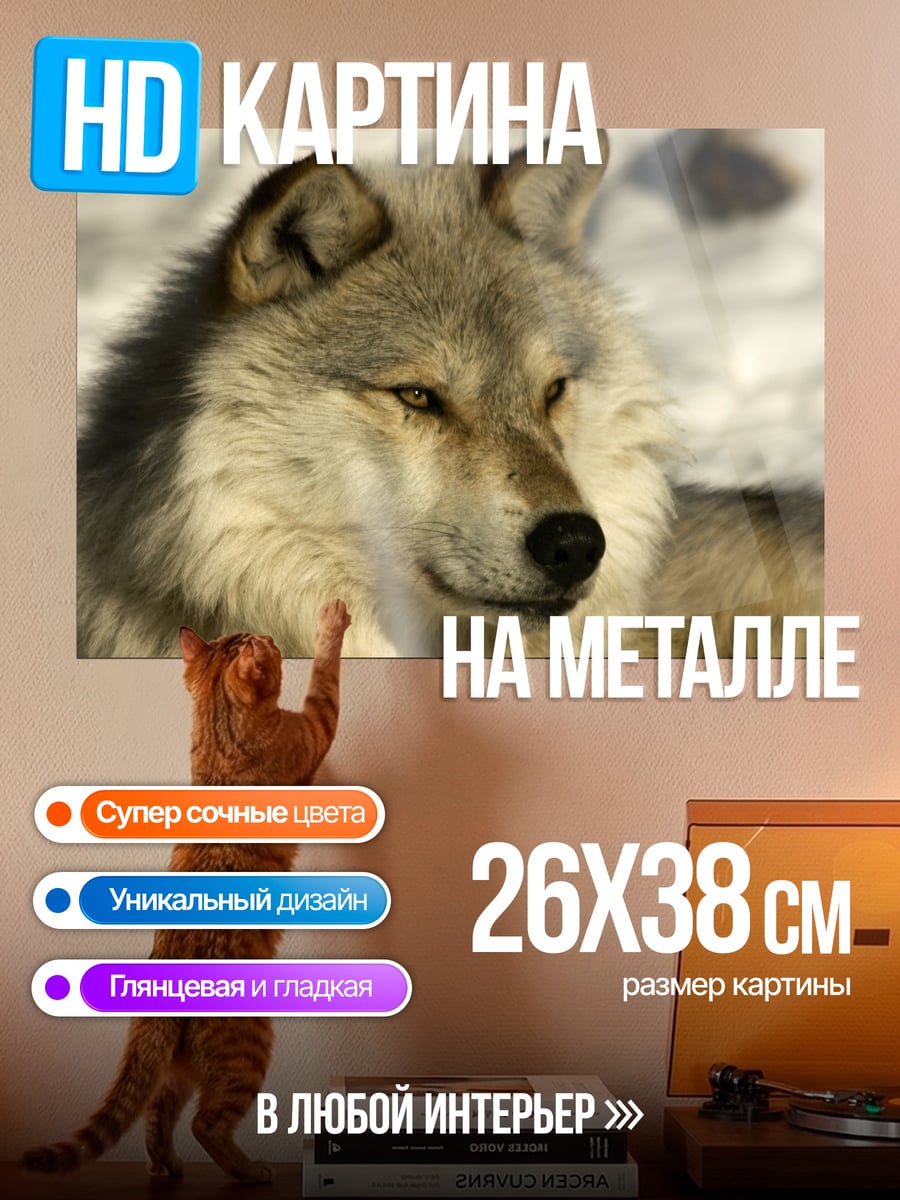 Картина на металле Портрет волка