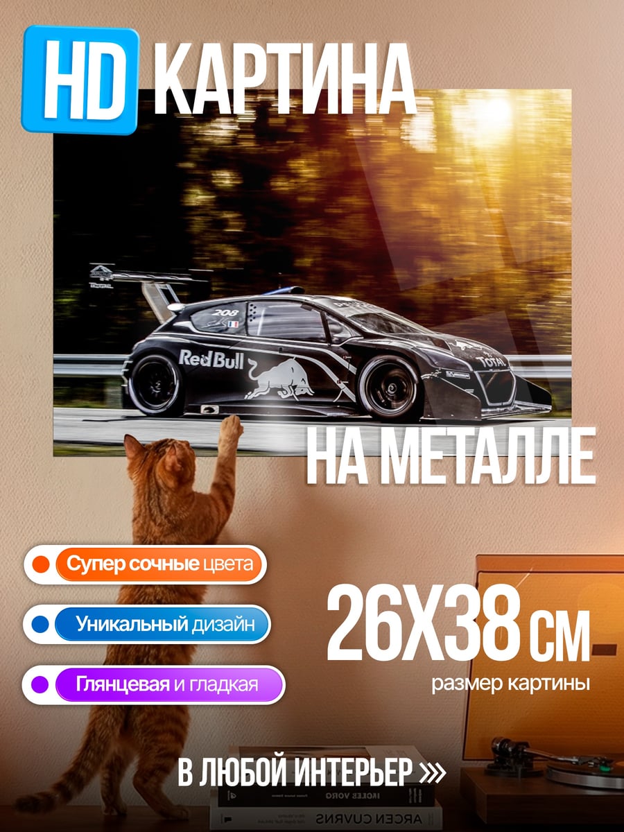 Картина на металле Автоспорт Red Bull