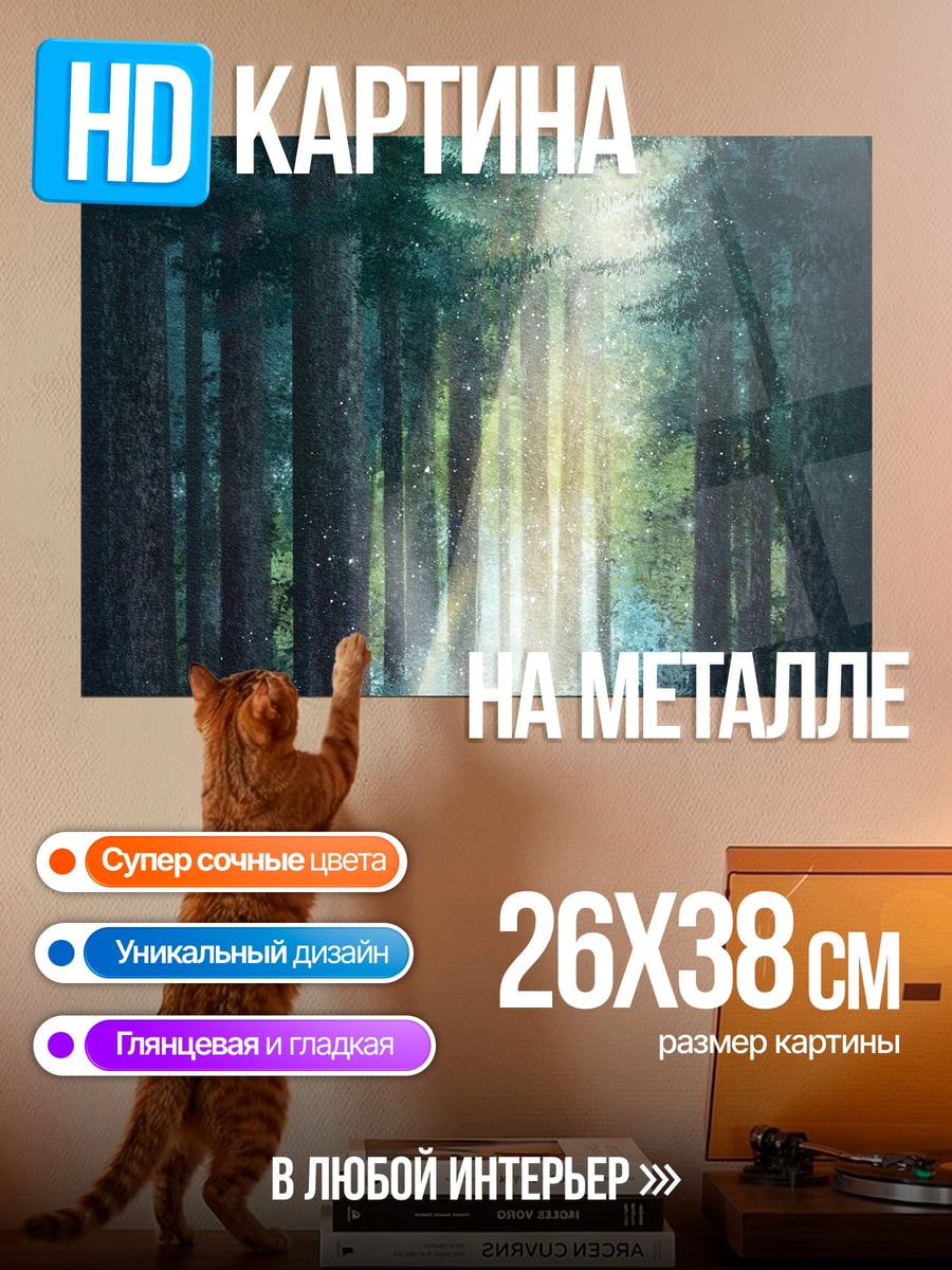 Картина на металле Лесная тропа свет