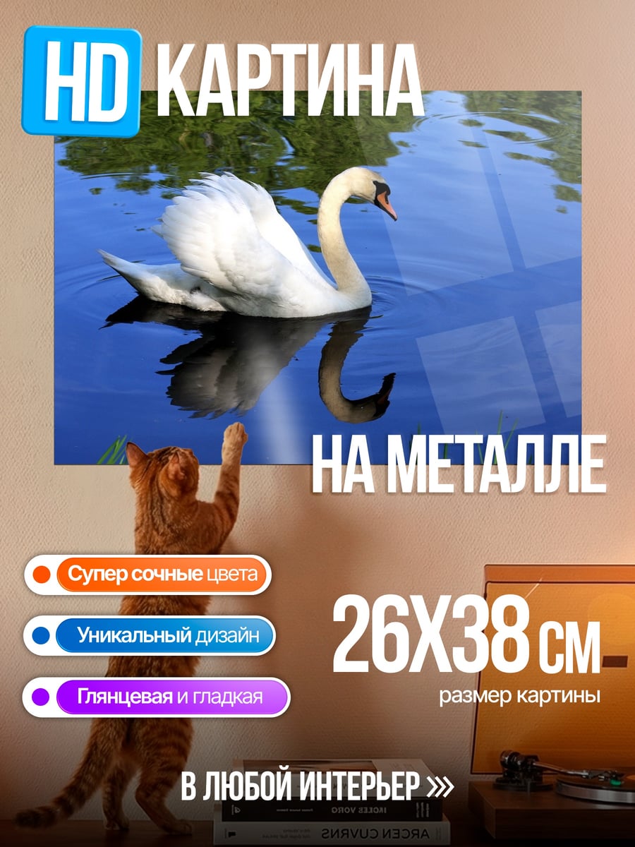 Картина на металле Лебедь на озере