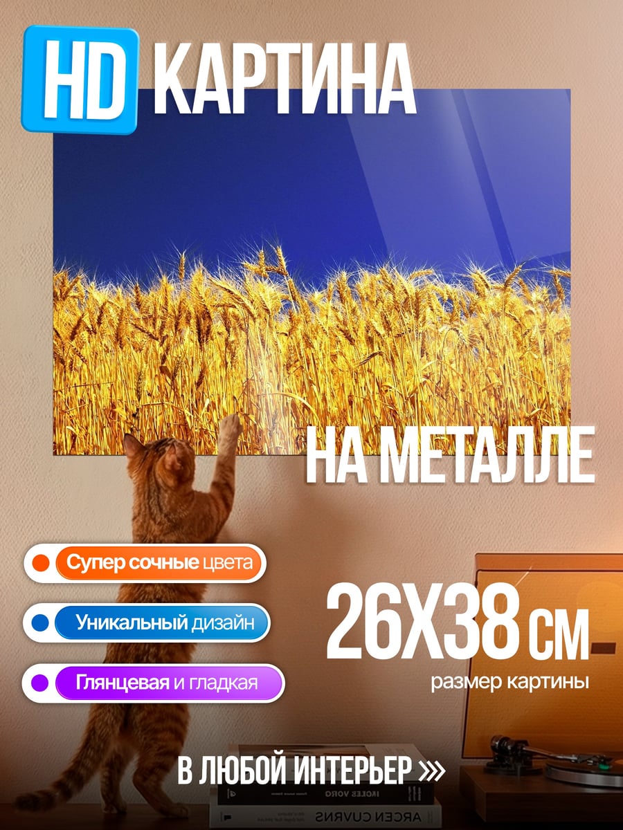 Картина на металле Золотое поле пшеницы