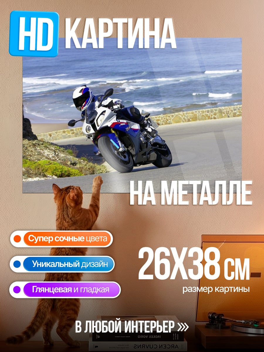 Картина на металле Мотоциклист на дороге